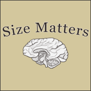 Size Matters funny brain t-shirt offensive